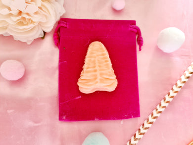 Bollocks Little Insults Candle Co